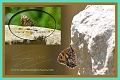 18 07 13_5592_edited-2